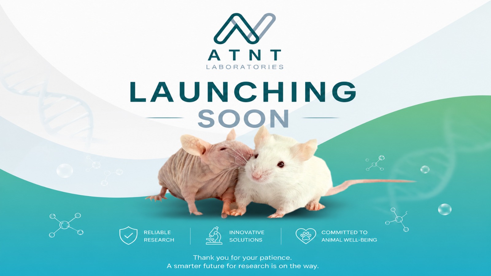 Launching Soon